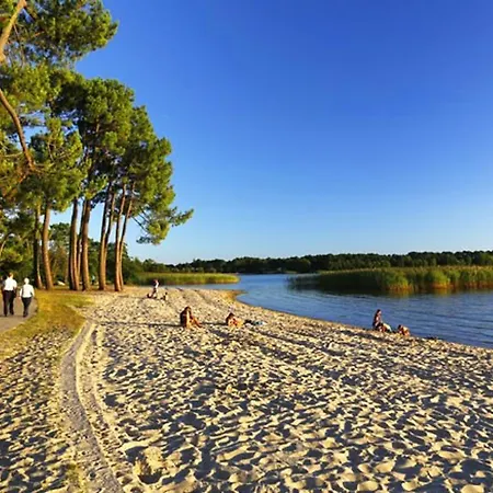 Maison Familiale, 15 Pers., Jardin Prive, Proche Centre Et Lac, A 25 Min De L'ocean - Fr-1-319-472 펜션