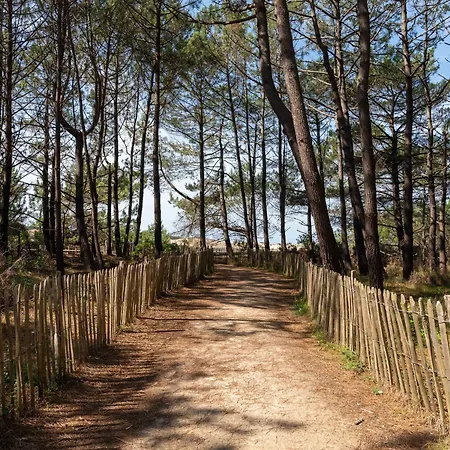 別荘 Maison Familiale, 15 Pers., Jardin Prive, Proche Centre Et Lac, A 25 Min De L'ocean - Fr-1-319-472
