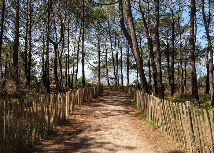 Maison Familiale, 15 Pers., Jardin Prive, Proche Centre Et Lac, A 25 Min De L'ocean - Fr-1-319-472 *